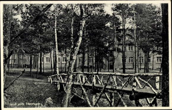 Ak Świebodzin Schwiebus Ostbrandenburg, Tiborlager, Waldlandschaft, Holzbrücke, Gebäude im Hinter