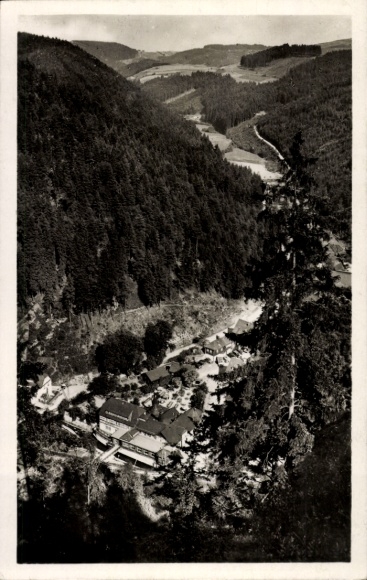 Ak Falkenstein Ludwigsstadt in Oberfranken, Panorama, Brauerei Karl Schreider