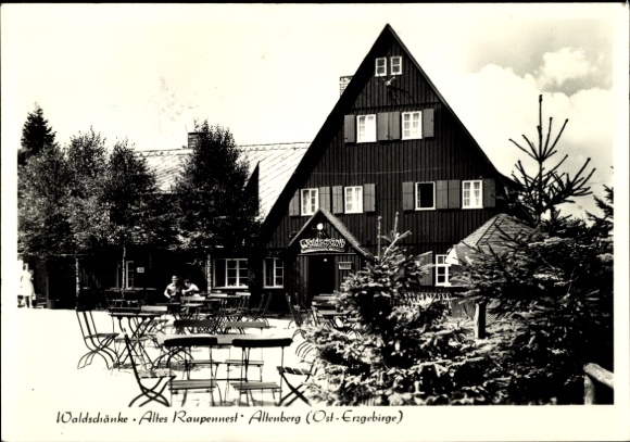 Ak Altenberg im Erzgebirge, Waldschänke 'Alles Raupennest', Gebirgslandschaft, Baumgruppe, Tische
