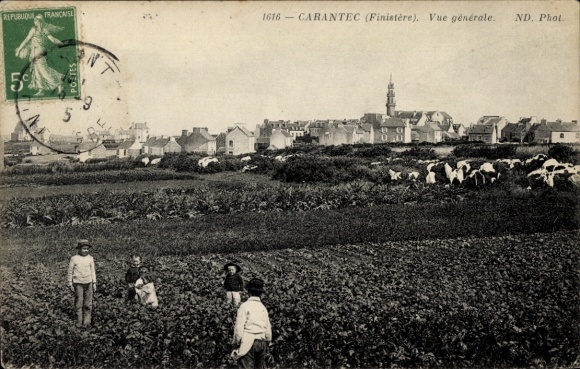CPA Carantec Finistère, vue generale