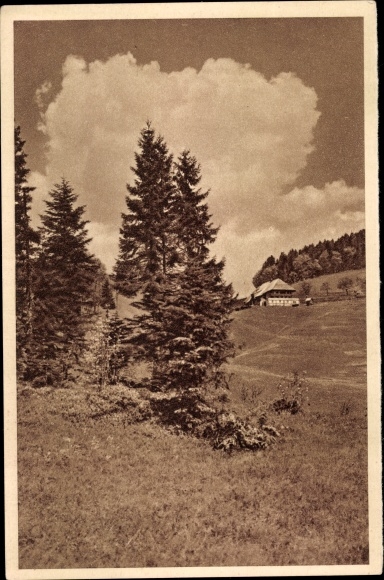 PC Germany, Black Forest house, general view, fir trees, WHW Das Schöne Deutschland, image 84