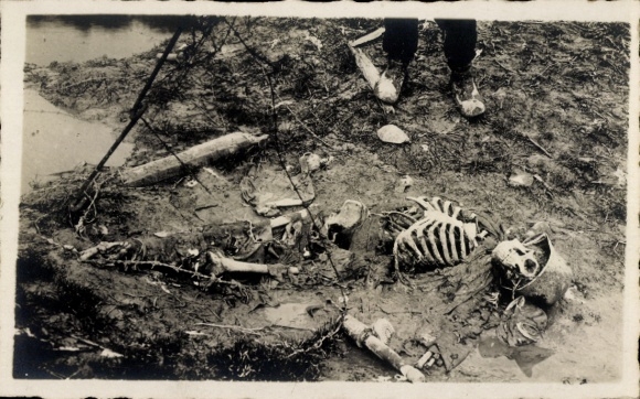 Photo Postcard Skeleton of a fallen soldier on the battlefield, WWI