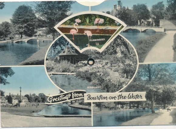 Mechanical PC Bourton on the Water Gloucestershire England, Birdland, Flamingos