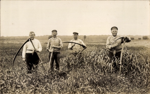Foto Ak Aken an der Elbe Sachsen Anhalt, Bauern mit Sensen auf einem Feld, um 1925