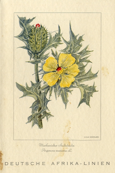 Artist menu card Bohlen, Lulu, steamer Usaramo, March 2, 1939, main meal, prickly poppy seeds