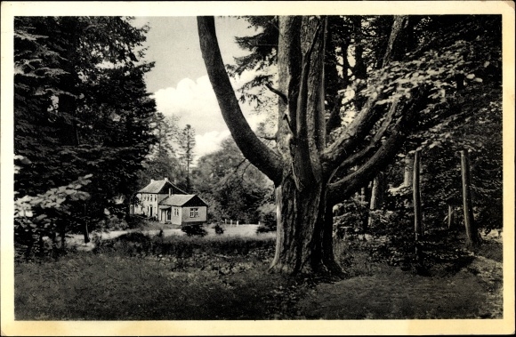 Postcard Vielbrunn Michelstadt in the Odenwald, high-altitude health resort Hainhaus
