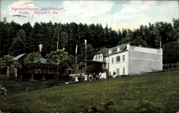 Ak Picka Oppach in Oberlausitz, zomerresort Waldfrieden, Picka, gebouwen, mensen, natuur