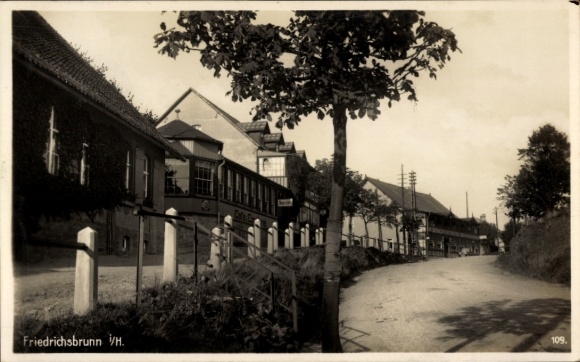 Postcard Friedrichsbrunn Thale im Harz, town view, street, building, fence, historical style