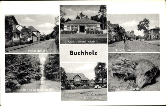 Ak Buchholz in de Nordheide, Café Goldene Krone, Wildsau met verse jongen, Cohrs Gasthaus