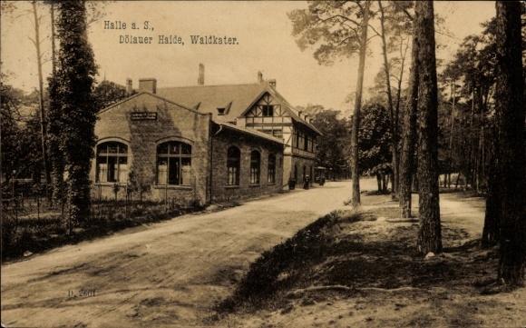 Postcard Dölauer Heide Halle an der Saale, pictures of Dölauer Halde, forest cat, s buildings, natural U
