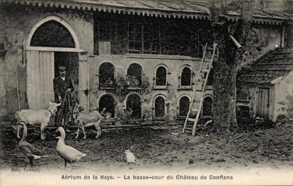 Ak Conflans Yvelines, Schloss, Schlosshof, Aerium de la Haye