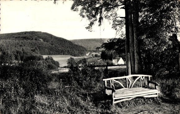 Postcard Warstein in Sauerland, Langenbachtal, bench