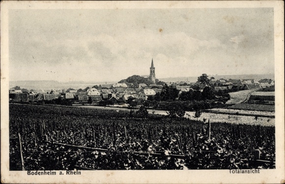 PC Bodenheim in Rheinhessen, total view of the village