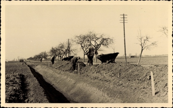 Foto Ak Pretzsch an der Elbe Bad Schmiedeberg, Straße nach Wittenberg, Straßenbau