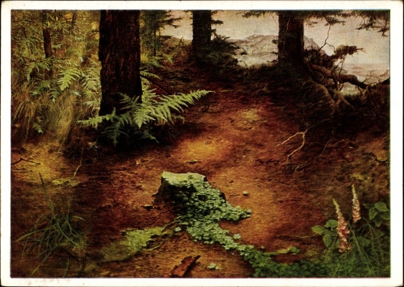 Artist PC Kriegel, Willy, evening sun in the forest, HDK 262