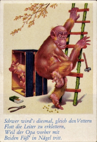 Collector's picture funny pictures No. 56, orangutan steps on nails, pig, ladder