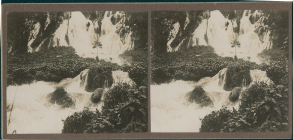 Stereo photo Jamaica, waterfall, primeval forest, jungle