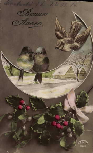 Postcard Happy New Year, sparrows, moon, holly, mistletoe