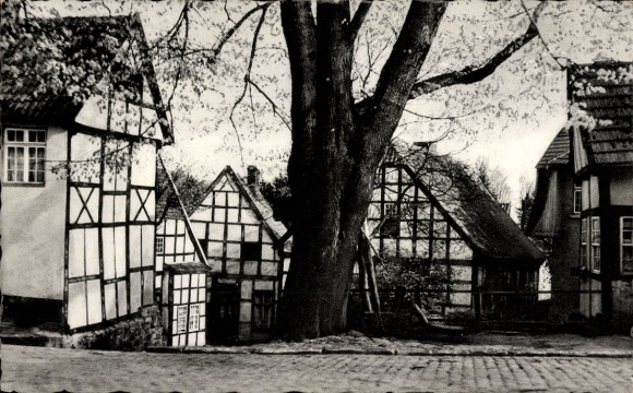 Ak Tecklenburg in Westfalen, Historische Fachwerkhäuser, Baum, Straße