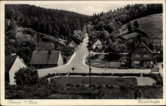 Postcard fir Oberharz am Brocken, view into the forest road, delicacies