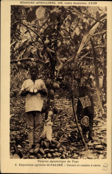 Ak Palimé Togo, Vicariat Apostolique, Exposition agricole, Cacaos et cannes à sucre, Kakaobohnen