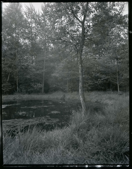 6 celluloid negatives Garlstedt Osterholz Scharmbeck Lower Saxony, meadow, restaurant, pond