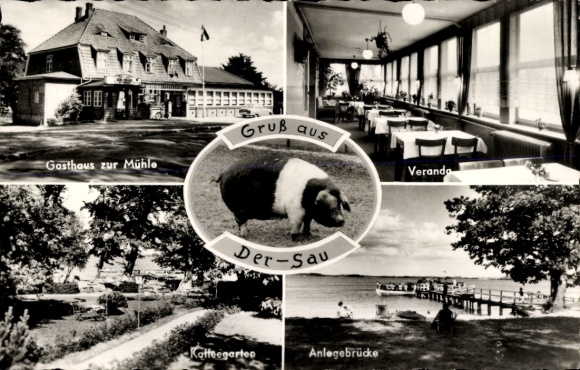 Ak Dersau im Plöner Land, Gasthaus und Pension Zur Mühle, Veranda, Kaffeegarten