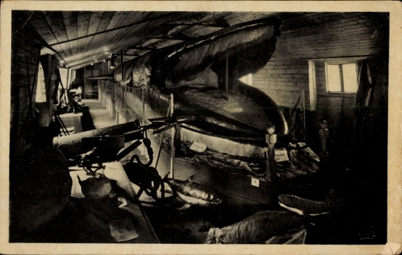 Postcard giant whale, exhibition hall, harpoon, blue whale