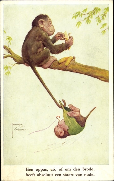 Artist Postcard Wood, Lawson, Anthropomorphized Apes, Chimpanzees