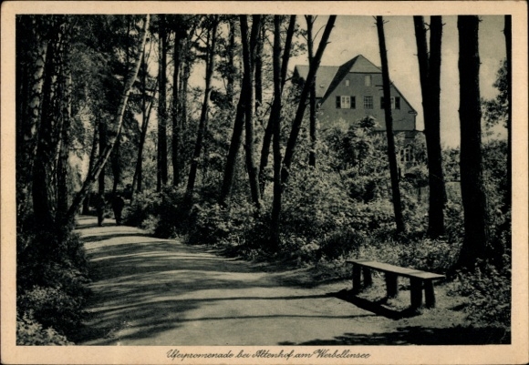 Postcard Altenhof Schorfheide am Werbellinsee, Waldweg