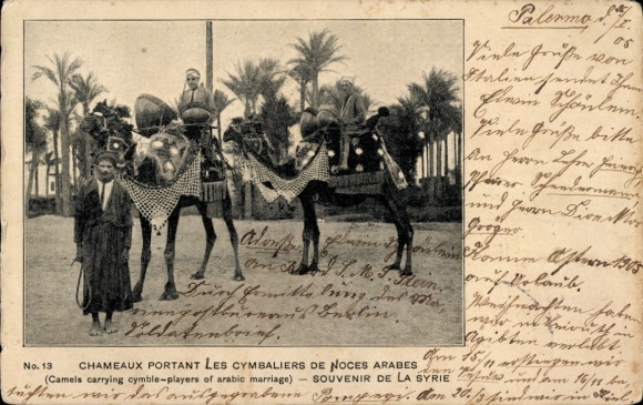 Ak Syrien, Kamelreiter, MSP No. 41, SMS Stein, 41.2.9