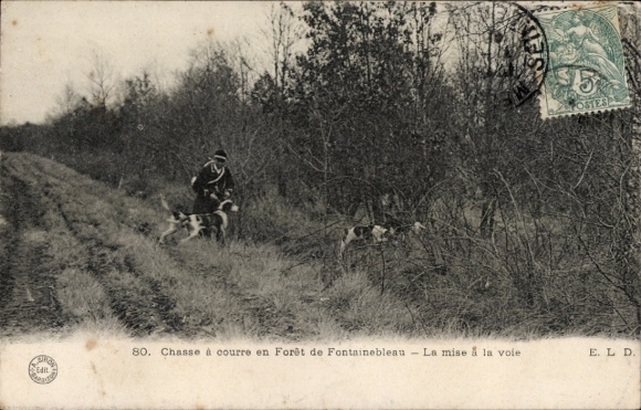 CPA Fontainebleau Seine et Marne, Chasse à courre en Forêt, La mise à la voie