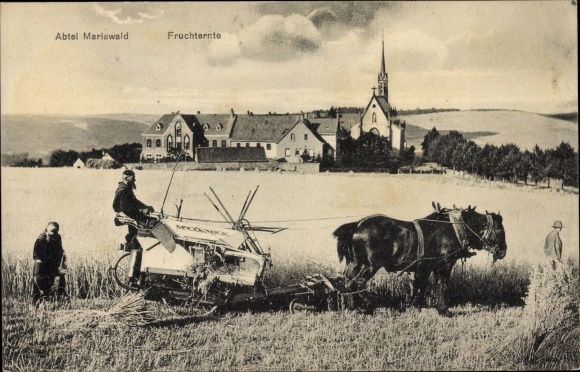 PC Heimbach in the Eifel, Mariawald Abbey, fruit harvest