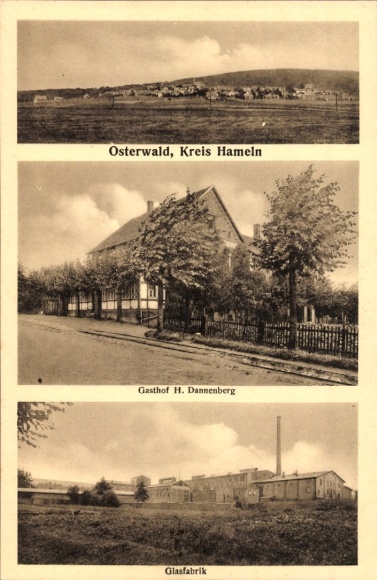 Ak Osterwald Salzhemmendorf, Gesamtansicht, Gasthof H. Dannenberg, Glasfabrik
