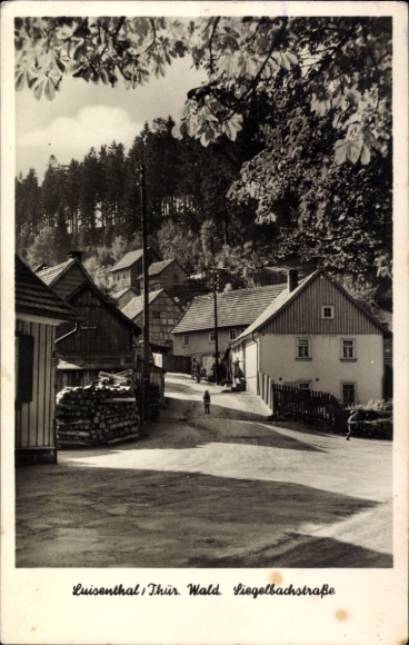 Ak Luisenthal im Thüringer Wald, Siegelbachstraße