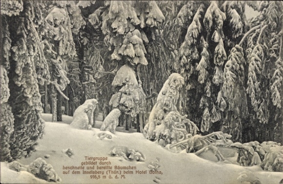 Postcard Brotterode in Thuringia, Großer Inselsberg, group of animals in snow-covered trees, near Hotel Gotha