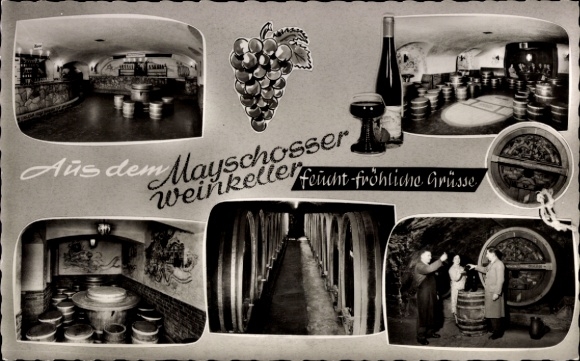 Postcard Bad Wörishofen in Unterallgäu, Mayschosser wine cellar