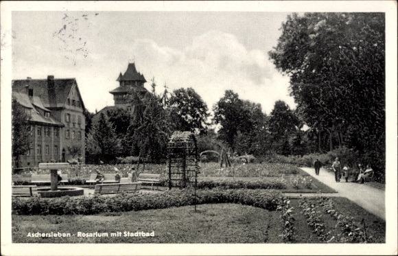 Ak Aschersleben im Salzlandkreis,  Rosarium, Stadtbad, Gartenanlage, Menschen auf der Bank
