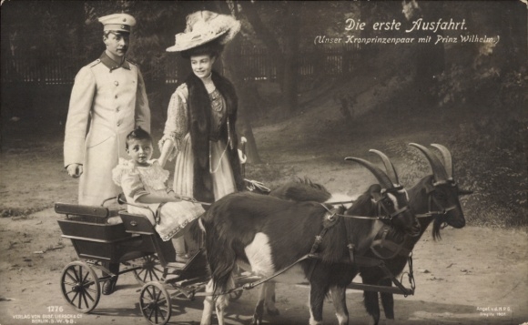 Postcard The first exit, crown prince couple with Prince Wilhelm, goat wagon, Gustav Liersch 1776