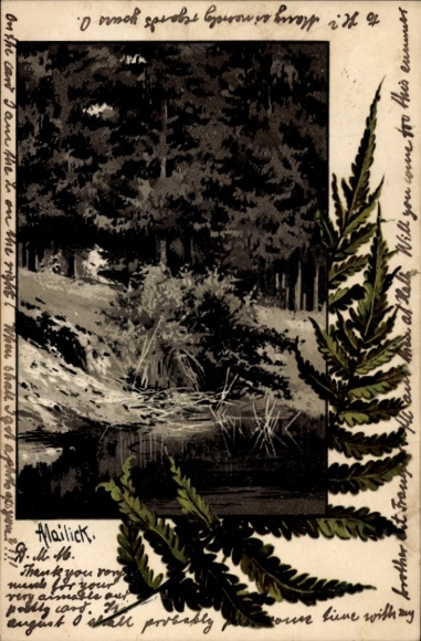 Künstler Litho Mailick, Waldmotiv, Farn, Bäume