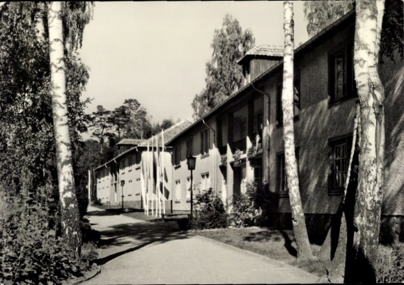 Postcard Altenhof Schorfheide on Lake Werbellin, pioneer houses, Wilhelm Pieck Pioneer Republic
