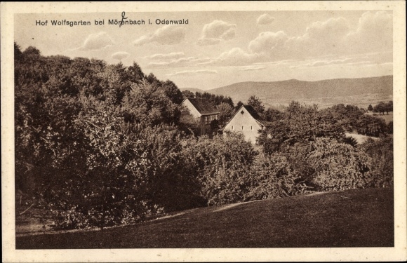 Ak Mörlenbach im Odenwald Hessen, Blick zum Hof Wolfsgarten mit Umgebung, Wald