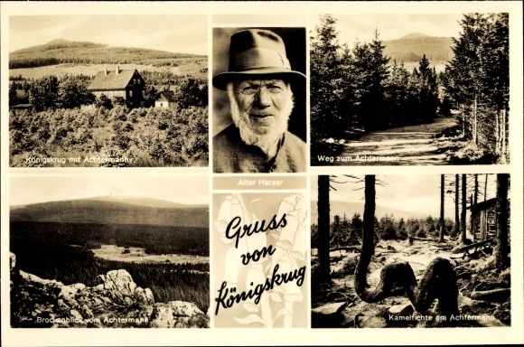 KP Königskrug Braunlage w Górnym Harzu, Alter Harzer, Brocken Blick Achtermann, Waldpartie