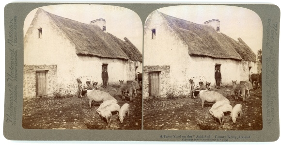 Stereo Photo County Kerry Ireland, A Farm Yard on the Auld Sod, farmhouse, farm animals