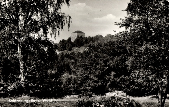 Ansichtkaart Saldenburg Neder-Beieren, gedeeltelijk aanzicht
