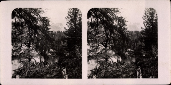 Stereofoto Ortler Ortles Trafoi Zuid-Tirol, uitzicht op de bergen, bosgebied, 1821