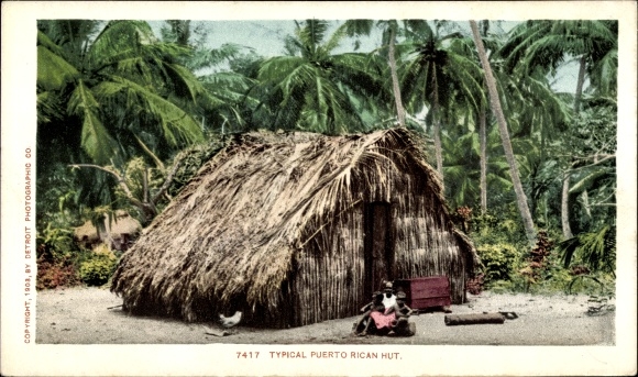 Postcard Puerto Rico, Typical Hut