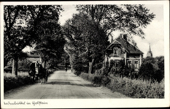 Ak Todenbüttel in Holstein, straat, paardenkoets