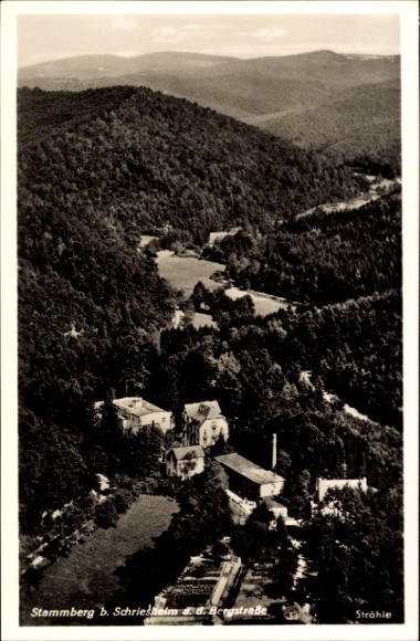 Ak Stammberg Schriesheim an der Bergstraße, Landschaft bei Stammberg, Schriesheim, Bergstraße, Bä