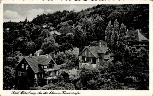 Ak Bad Harzburg am Harz, Partie an der kleinen Krodostraße